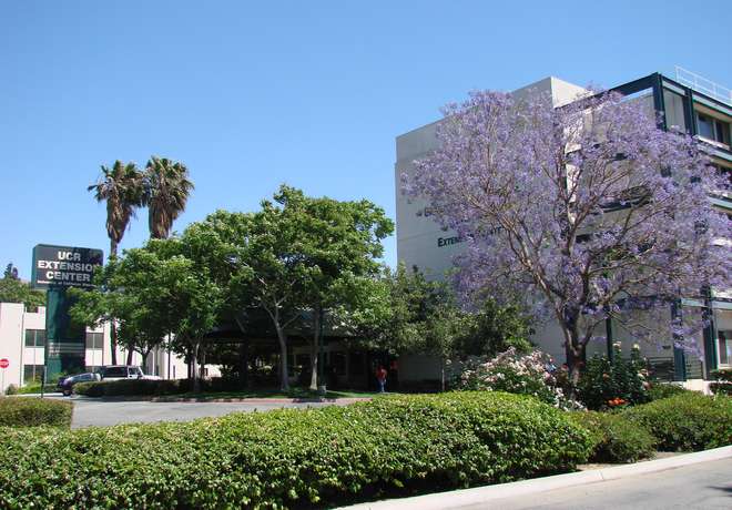 School, University of California Riverside